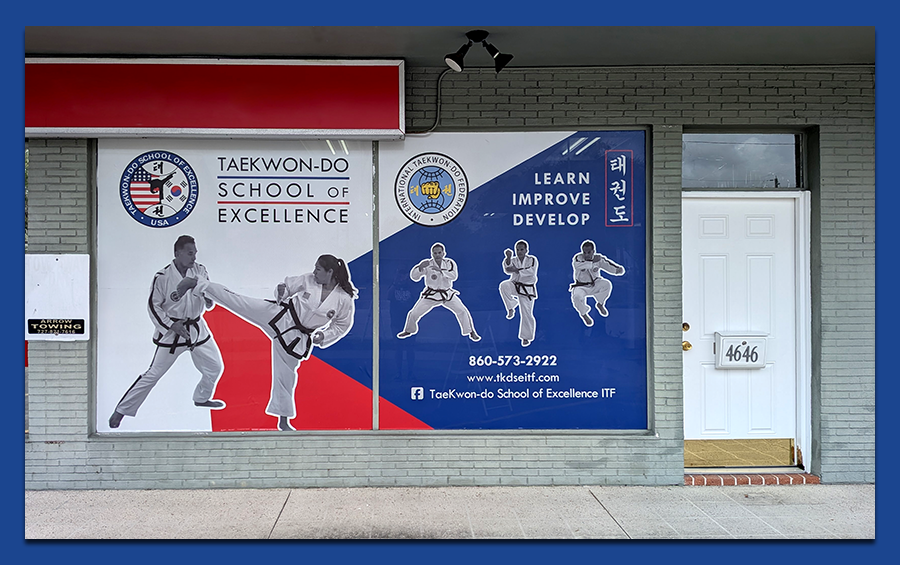 TaeKwon Do School of Excellence brand guidelines pages